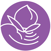 Self-Help for the Elderly