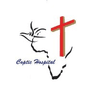 Coptic Hospital logo