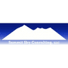 Summit Sky Consulting logo