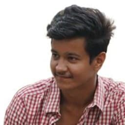 Sankara Narayanan  Subramanian