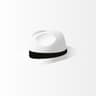White Hat Gaming logo
