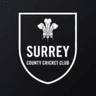 The Kia Oval logo