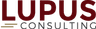 Lupus Consulting Zrt. logo