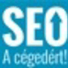 Seoacegedert.hu logo