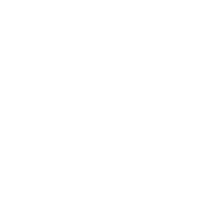 Synergy Services