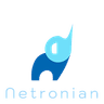 Netronian Inc. logo