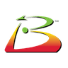 Balanced Scorecard Institute logo