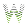 WIRED Technologies Group logo