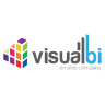 Visual BI Solutions logo