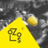 Ozols Ir logo