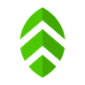 Neem logo