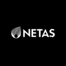 Netaş logo