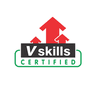 Vskills logo