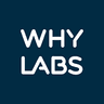 WhyLabs logo