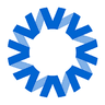 National Vision logo