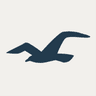 Hollister Co. logo