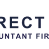 Direct Point Accountant Firm logo