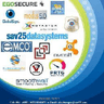 SAV25 Data Systems logo