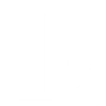 Danglifestyle.co logo