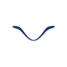 Niryo logo