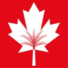 Canadian University of Dubai logo