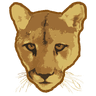 Felidae Conservation Fund logo