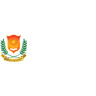 Jaipur National University logo