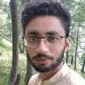 Ameer Hamza