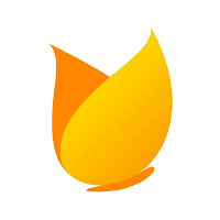 TinyEYE Therapy Services