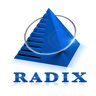 Radixweb logo