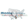 Watching America logo