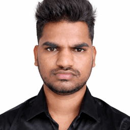 Bhanu Alle