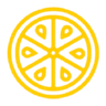 Pearl Lemon Adventures logo