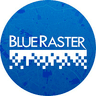 Blue Raster, LLC logo