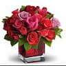 Saadia Hossain