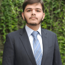 Ameer Hamza