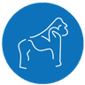 Beringei logo