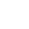 Ravian AI logo