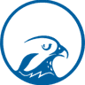 Falcon Holdings Management LLC logo