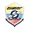 Dirección General Marítima (DGM) logo