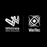 Wellington Institute of Technology logo