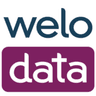 Welo Data logo