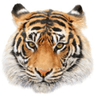 Onondaga Central Junior-Senior High School logo