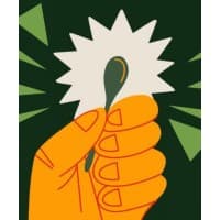 Green Spoon Sales