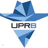 University of Puerto Rico at Bayamón logo