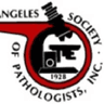 Lagos School Of Programming logo