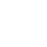 Vistula University logo