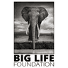 Big Life Foundation logo