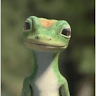 Gekco User