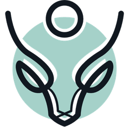 Leaper Entertainment inc